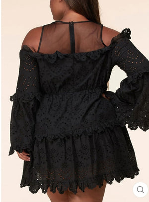 Blackbird Singing Ruffle Eyelet Dress- Plus